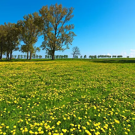 Am Krabbenweg Kirchturmblick 公寓 Kirchdorf (Poel)